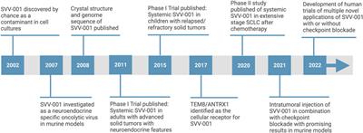 Evolving role of seneca valley virus and its biomarker TEM8/ANTXR1 in cancer therapeutics